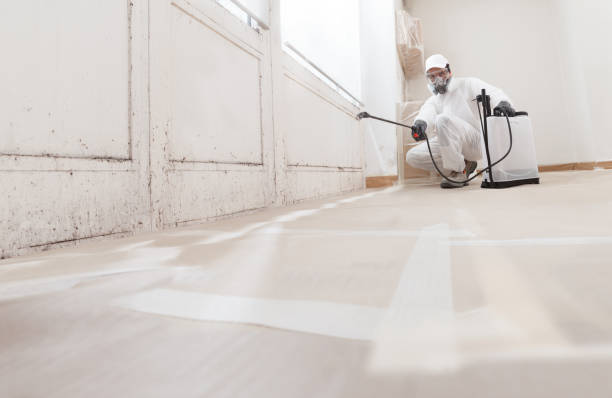 Black mold remediation team in Owings Mills