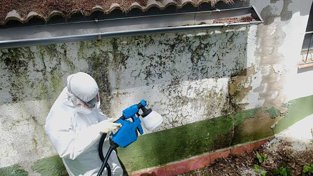 Mold Removal service in Owings Mills